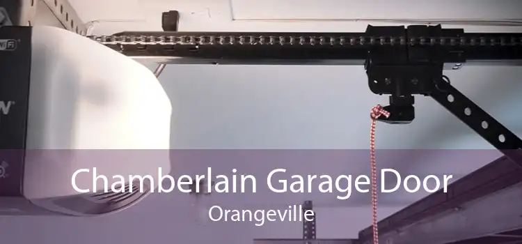 Chamberlain Garage Door Orangeville