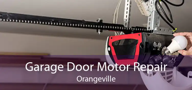 Garage Door Motor Repair Orangeville