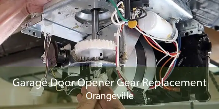 Garage Door Opener Gear Replacement Orangeville