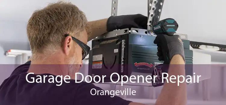 Garage Door Opener Repair Orangeville