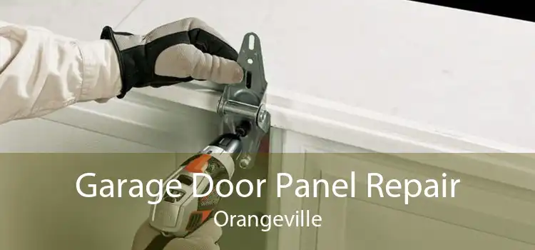 Garage Door Panel Repair Orangeville