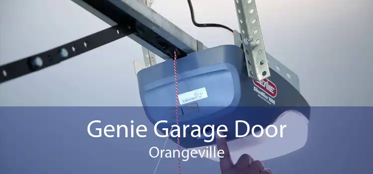 Genie Garage Door Orangeville