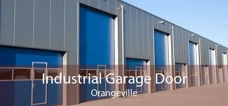Industrial Garage Door Orangeville