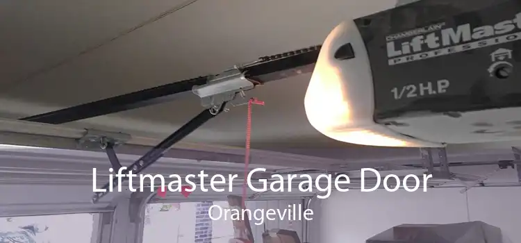 Liftmaster Garage Door Orangeville