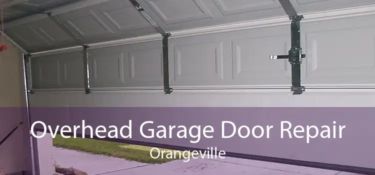 Overhead Garage Door Repair Orangeville